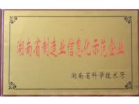 湖南省制作业信息化示范企业